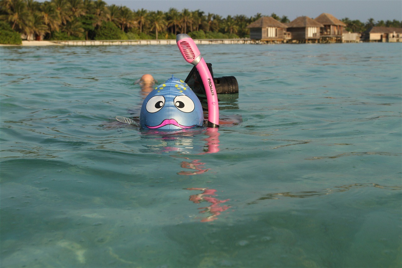 [IMG_05952.jpg]