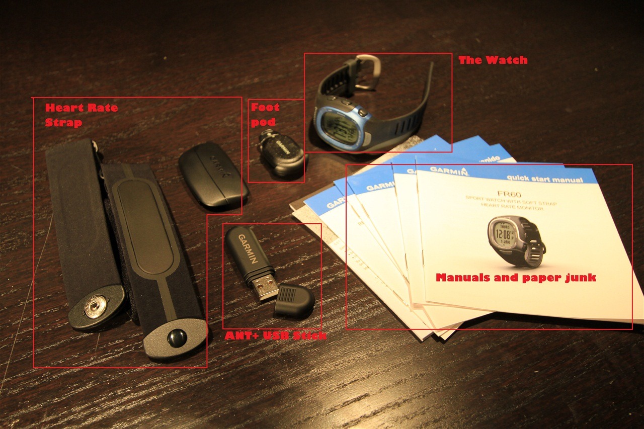 [IMG_2113Labeled2.jpg]