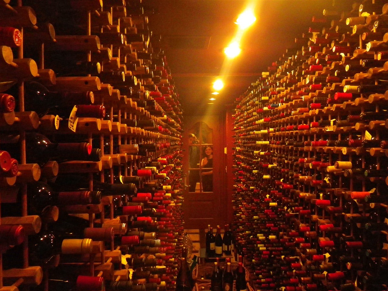 [IMGP0252[3].jpg]