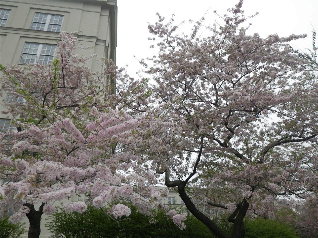 [IMGP02673.jpg]