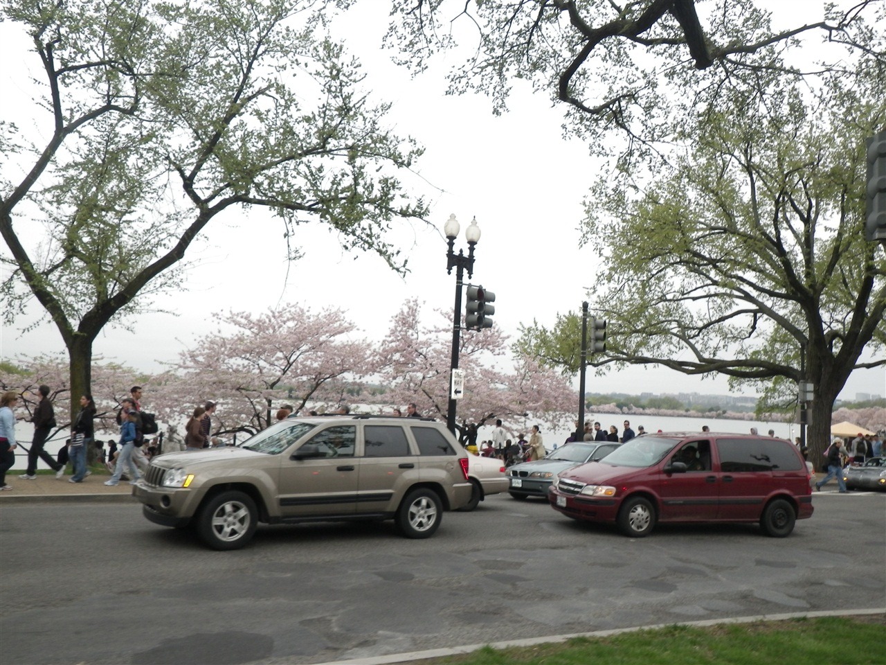 [IMGP02633.jpg]