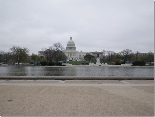 IMGP0264