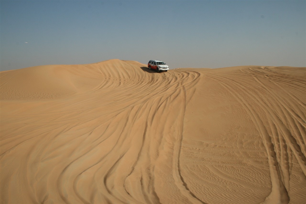 [IMG_25083.jpg]