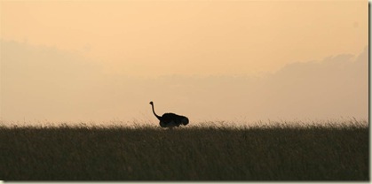 IMG_5637A