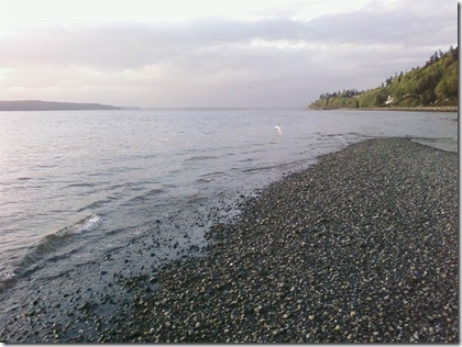 PIC-0031_1