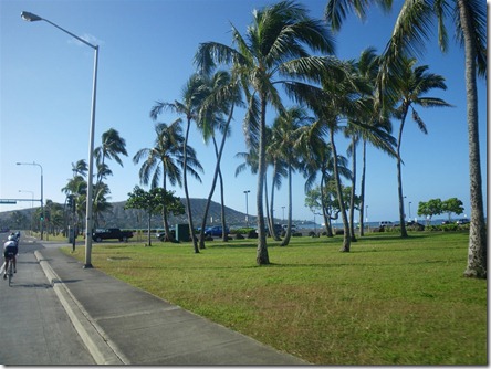 IMGP3702