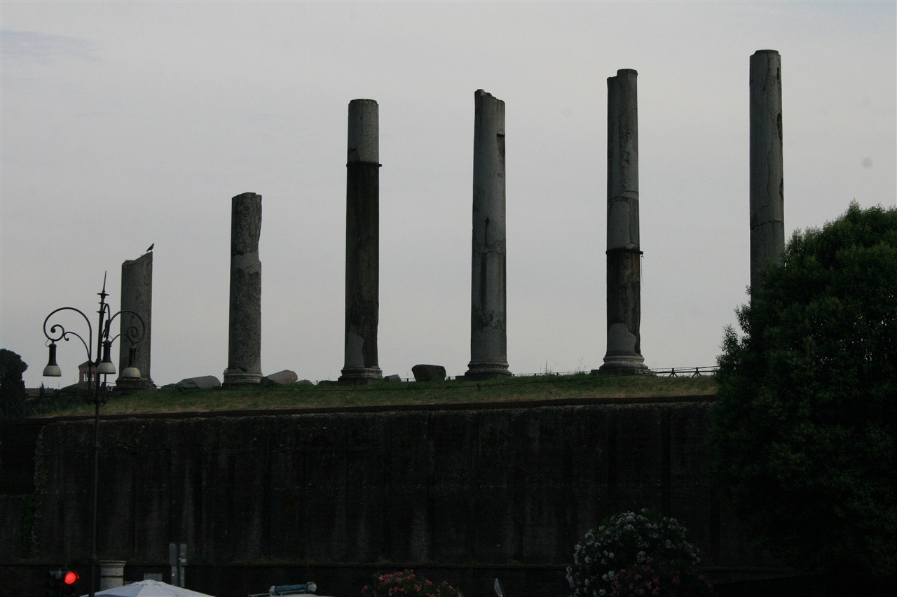 [IMG_81912.jpg]