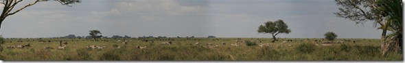 MigrationPano