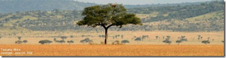 TanzaniaHeadeWithText