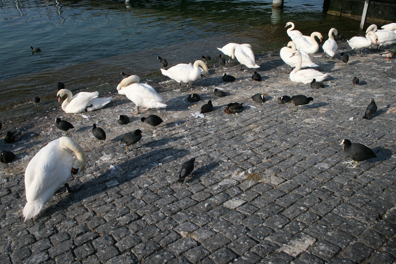 [IMG_92992.jpg]