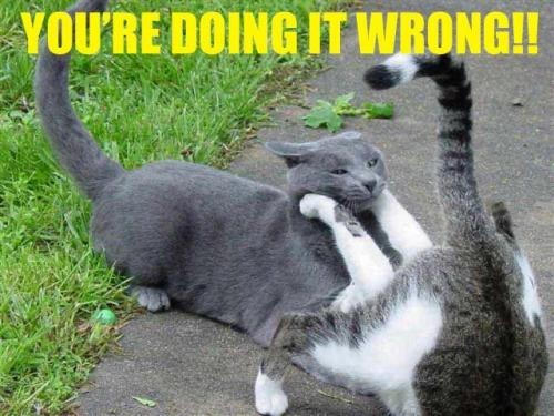 [doinitwrong[2].jpg]