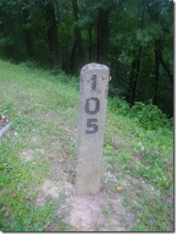 IMGP5313