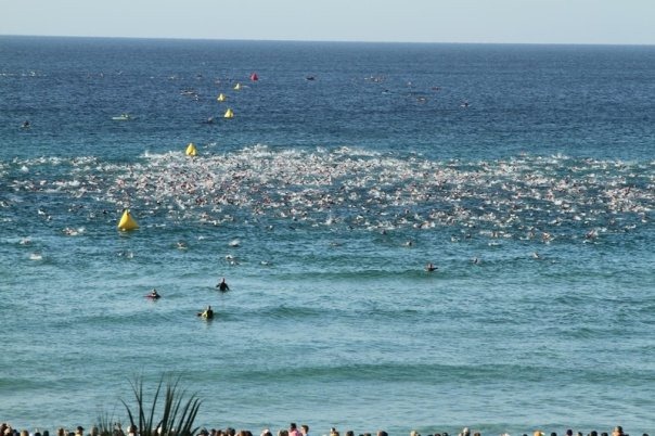 [SwimStart3[2].jpg]