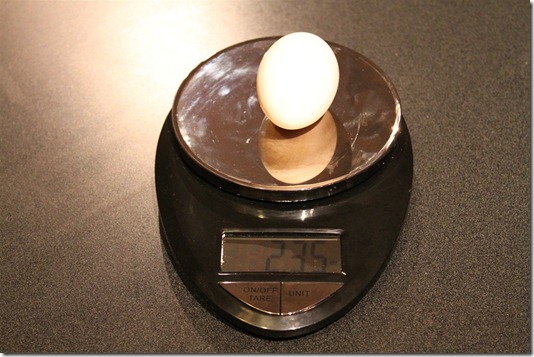 Egg weight on scale