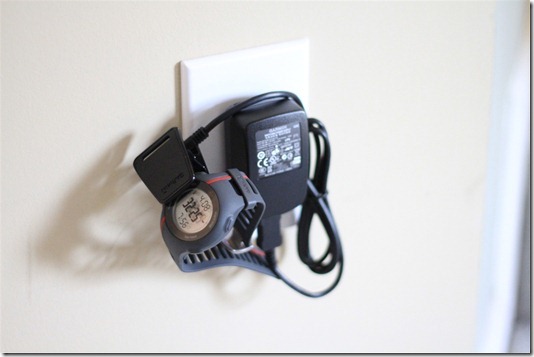 Garmin FR110 Wall Charging Unit