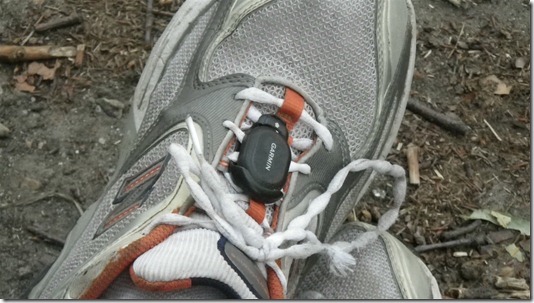 Garmin Footpod