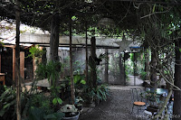 DSC_0199.JPG