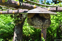 DSC_0861.JPG