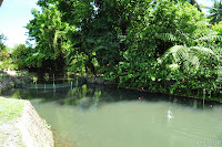 DSC_0940.JPG