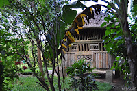 DSC_0942.JPG