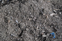 DSC_1065.JPG
