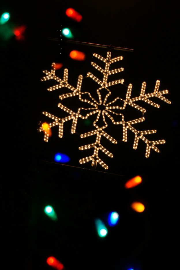 [Christmas Lights 008 copy[3].jpg]