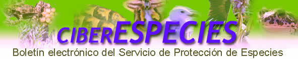 logo Ciberespecies