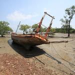 IMG_3680.JPG