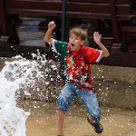 IMG_1152.jpg