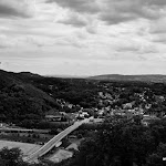 IMG_1323.jpg
