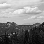 IMG_1013.jpg