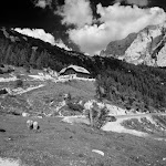 IMG_0882.jpg