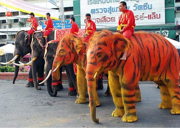 [Foto ElephantstayBarcroft IndiaGetty Images[6].jpg]