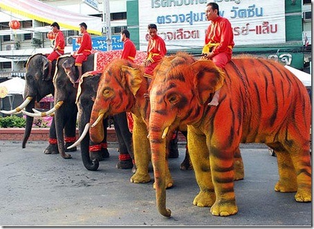 Foto ElephantstayBarcroft IndiaGetty Images
