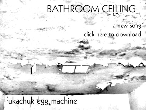 [bathroomceiling2[3].jpg]