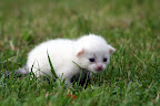 IMG_1280.JPG