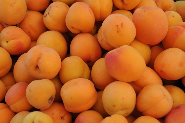 [Farmers Market May 2009 014[4].jpg]