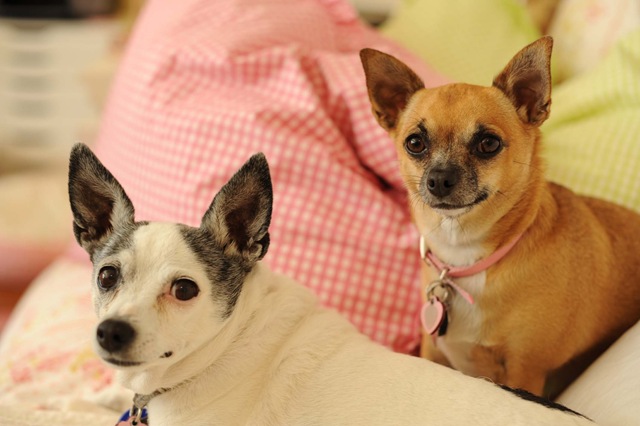 [Bisty and Chelsea[5].jpg]