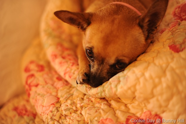 [DSC_1626_0705[5].jpg]
