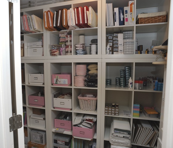 [Newshelves7.jpg]