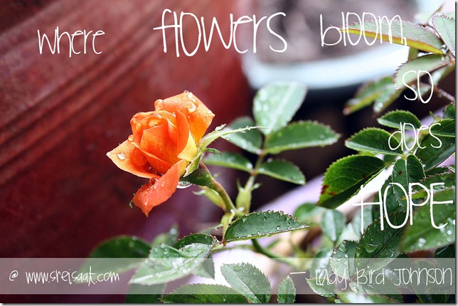 rose_and_hope