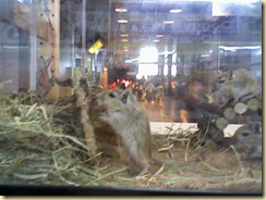 Photo-0307