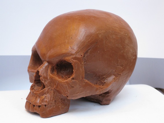 [skull03[3].jpg]