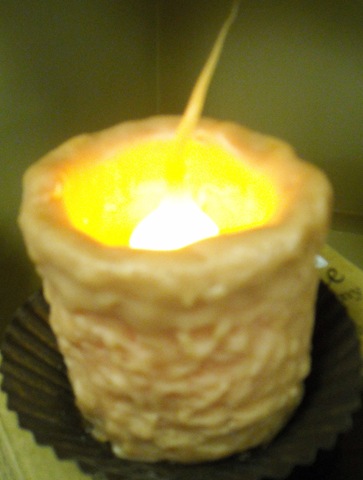 [Elect.Candle3.jpg]