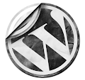 wordpress 3 