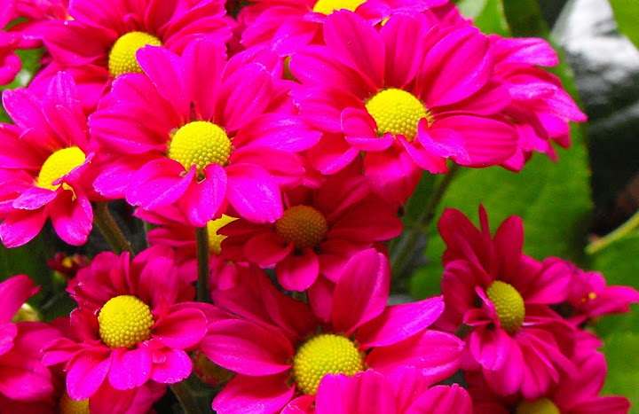 http://lh3.ggpht.com/_Wve-pH9pd4U/TJZV82L9u1I/AAAAAAAADbM/nOYZyCD06ws/s720/DSCF1904.JPG