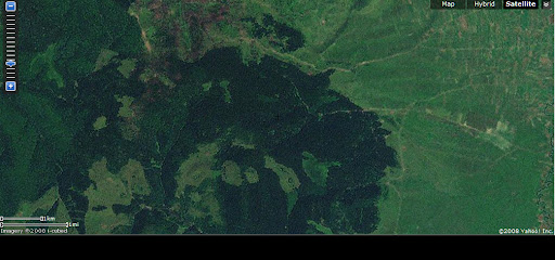 defrisari romania imagini copaci taiati