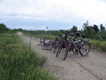 let's bike it vlad dulea geo atreides prima editie