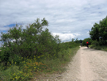 let's bike it vlad dulea geo atreides prima editie