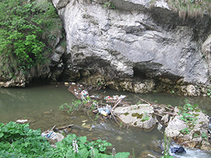 ecologizare piatra craiului 2009